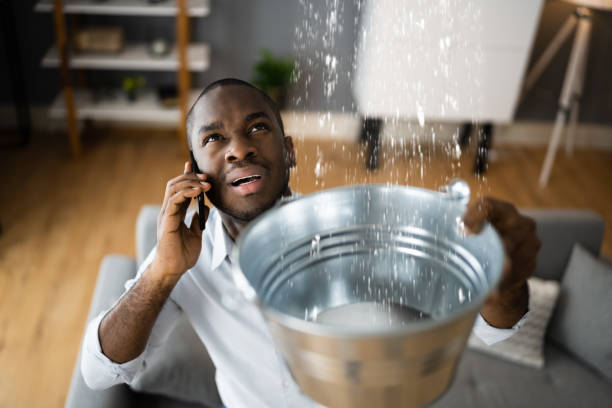 Best Carpet water damage restoration  in Ontario, OH