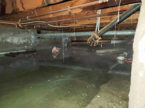 Best Ceiling water damage repair  in Ontario, OH