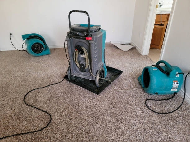 Best Professional water damage repair  in Ontario, OH