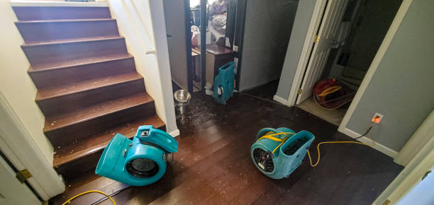 Professional Water damage restoration in Ontario, OH