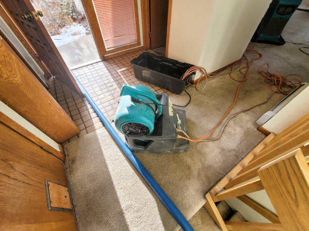 Best Emergency water extraction  in Ontario, OH