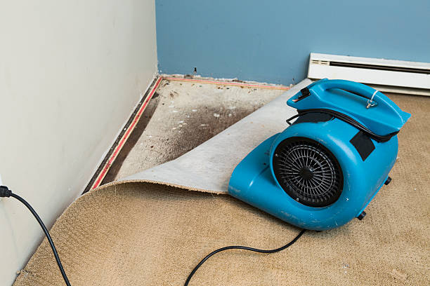 Best Local water damage restoration  in Ontario, OH